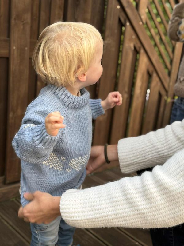 Julekorg-genser, blå variant (oppskrift)