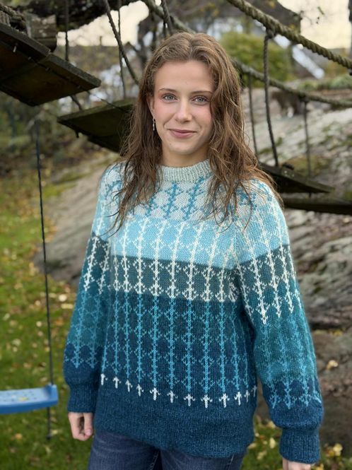 Hovedbilde Ty-genser