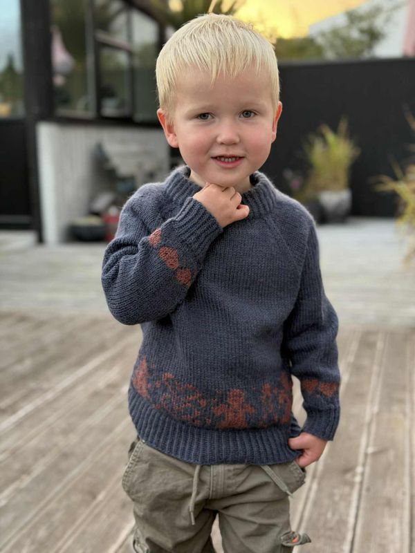 Pebberkage-genser (strikkepakke)