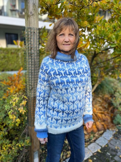 Hovedbilde Elgr-genser, blå - Ferdigstrikka