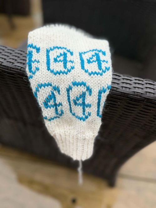 Hovedbilde Christiansandsgenser, barn i Viking Alpaca Storm ...
