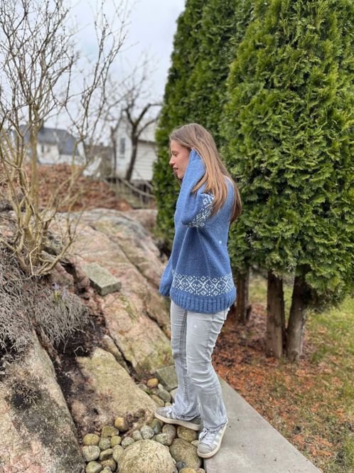 Hovedbilde Terneholmen-genser (oppskrift)