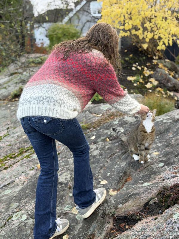 Madr-genser (oppskrift)