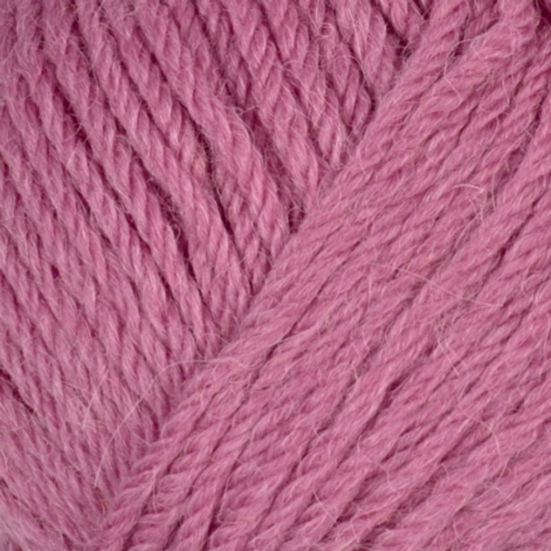 Viking Alpaca Storm